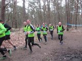 Bosloop Brecht - 05.jpg